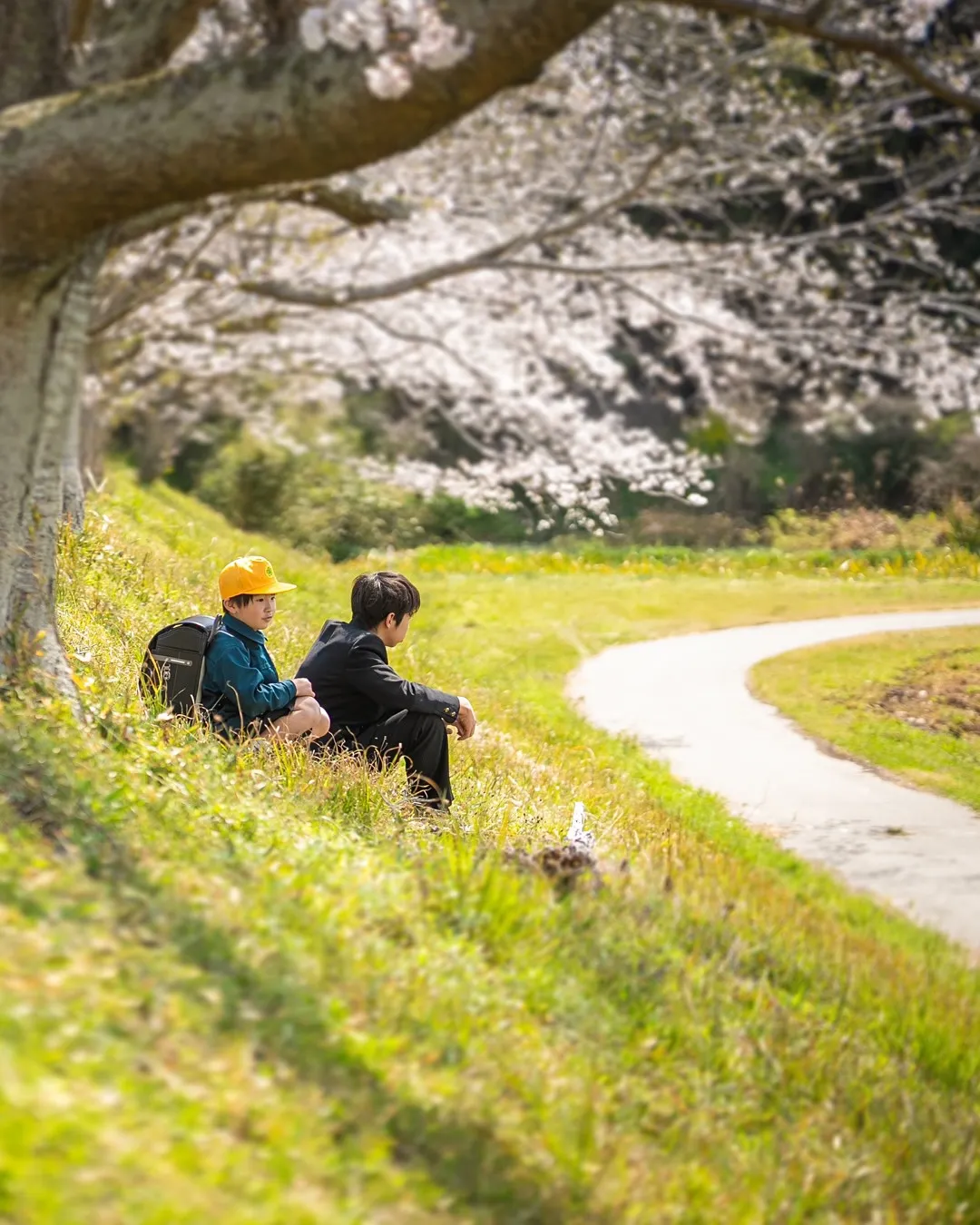撮影と制作を担当した動画作品を公開