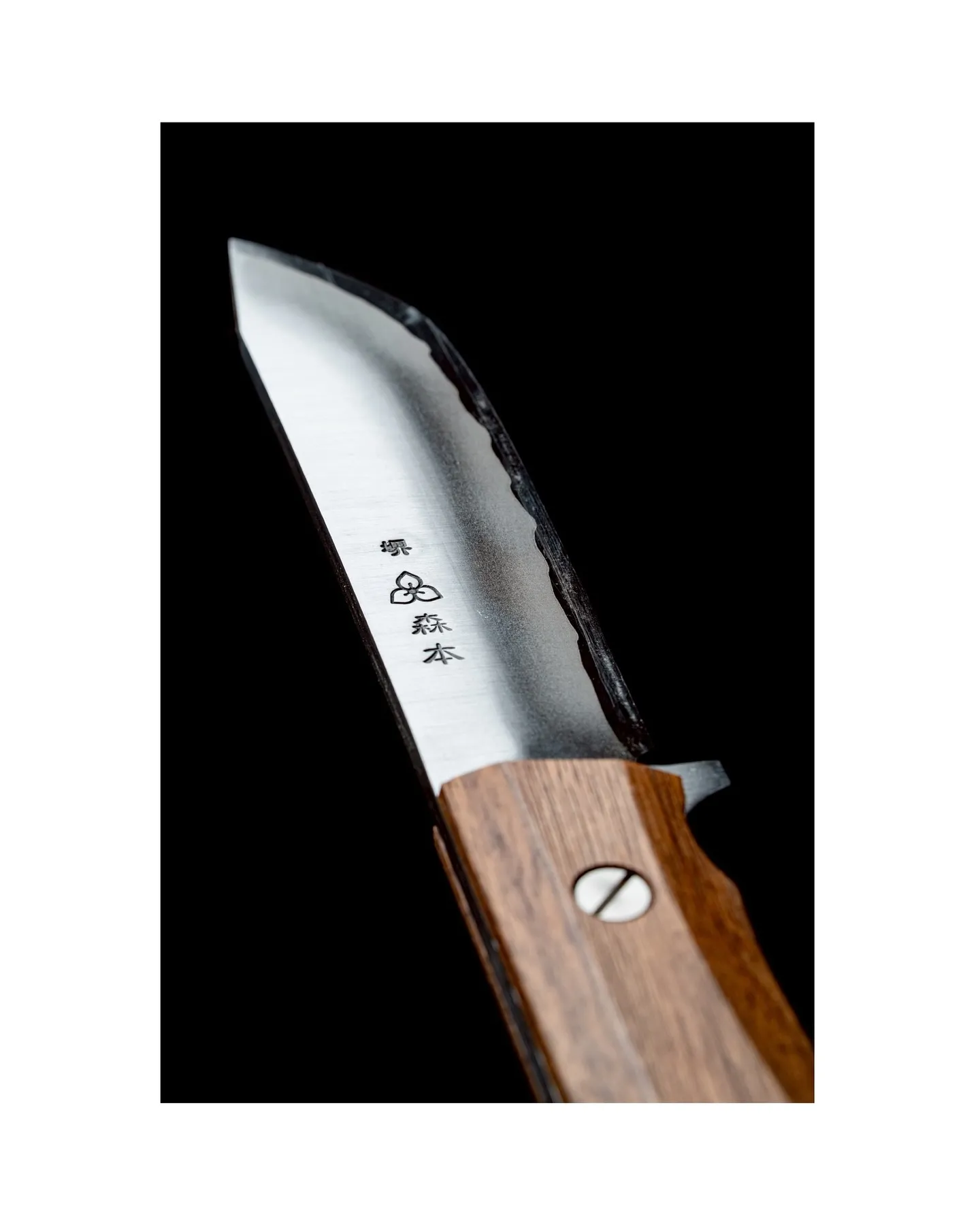 ブツ撮りですわ、いわゆる。