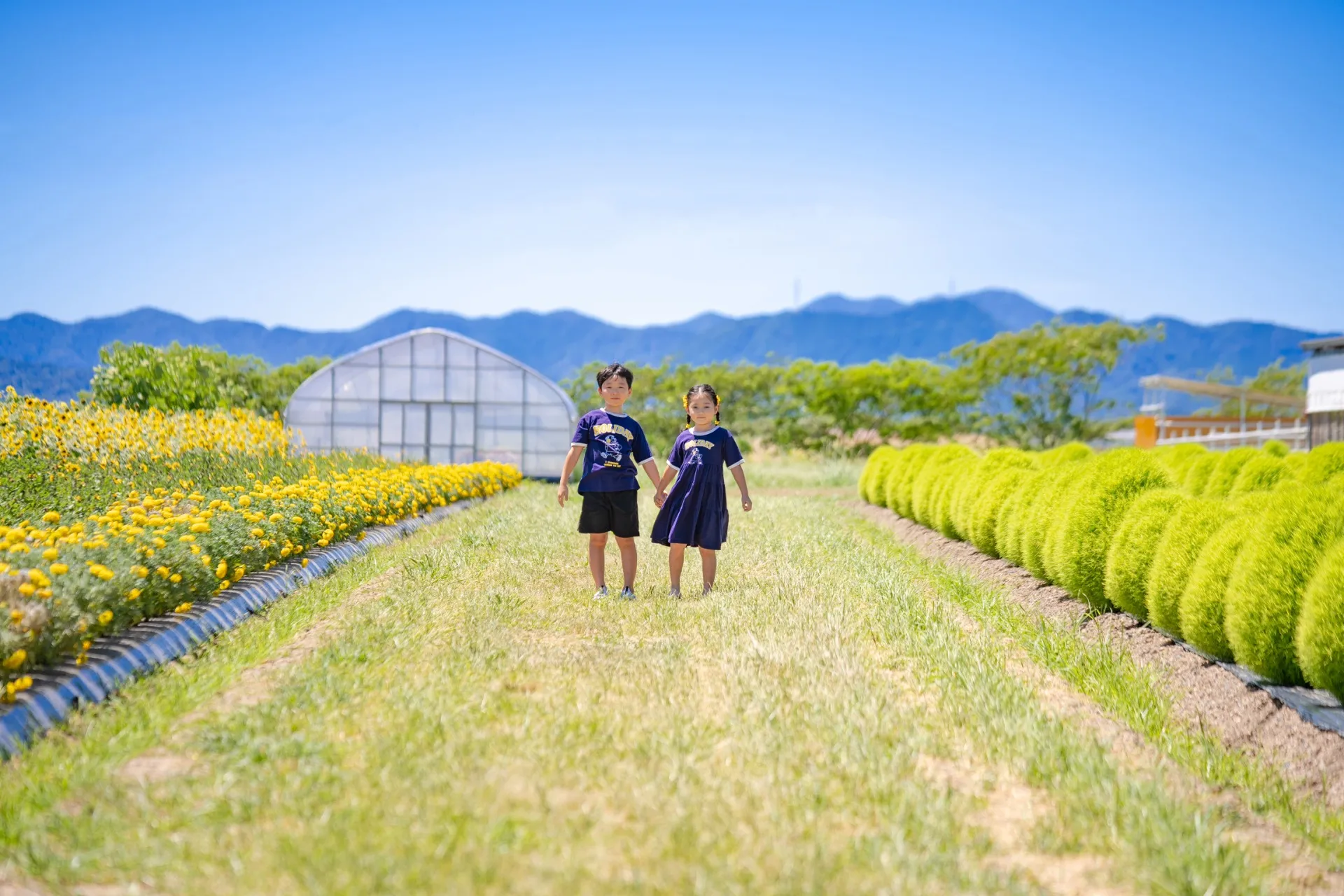 よくあるお問い合わせ内容とその回答