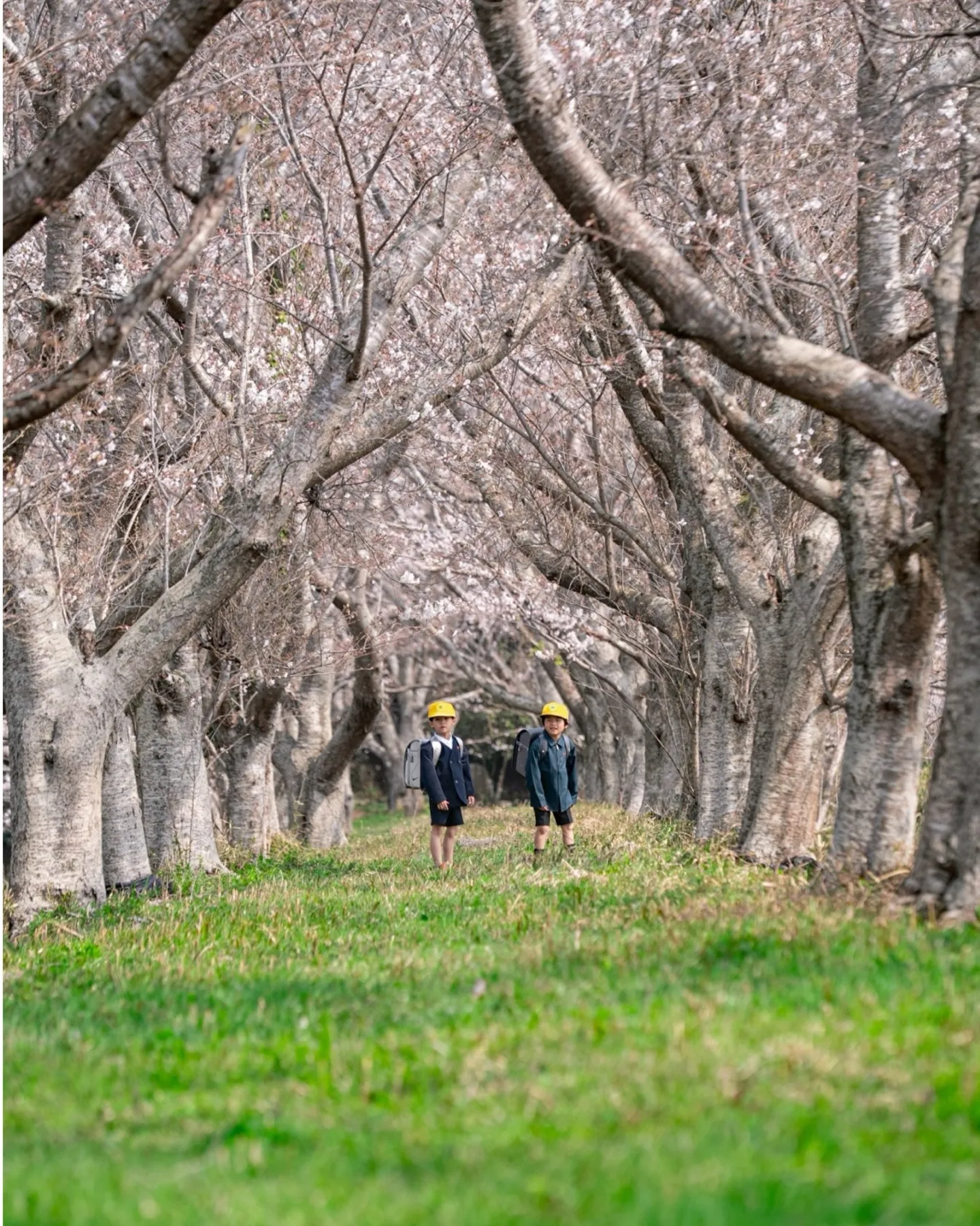 保育園なかよしコンビ。