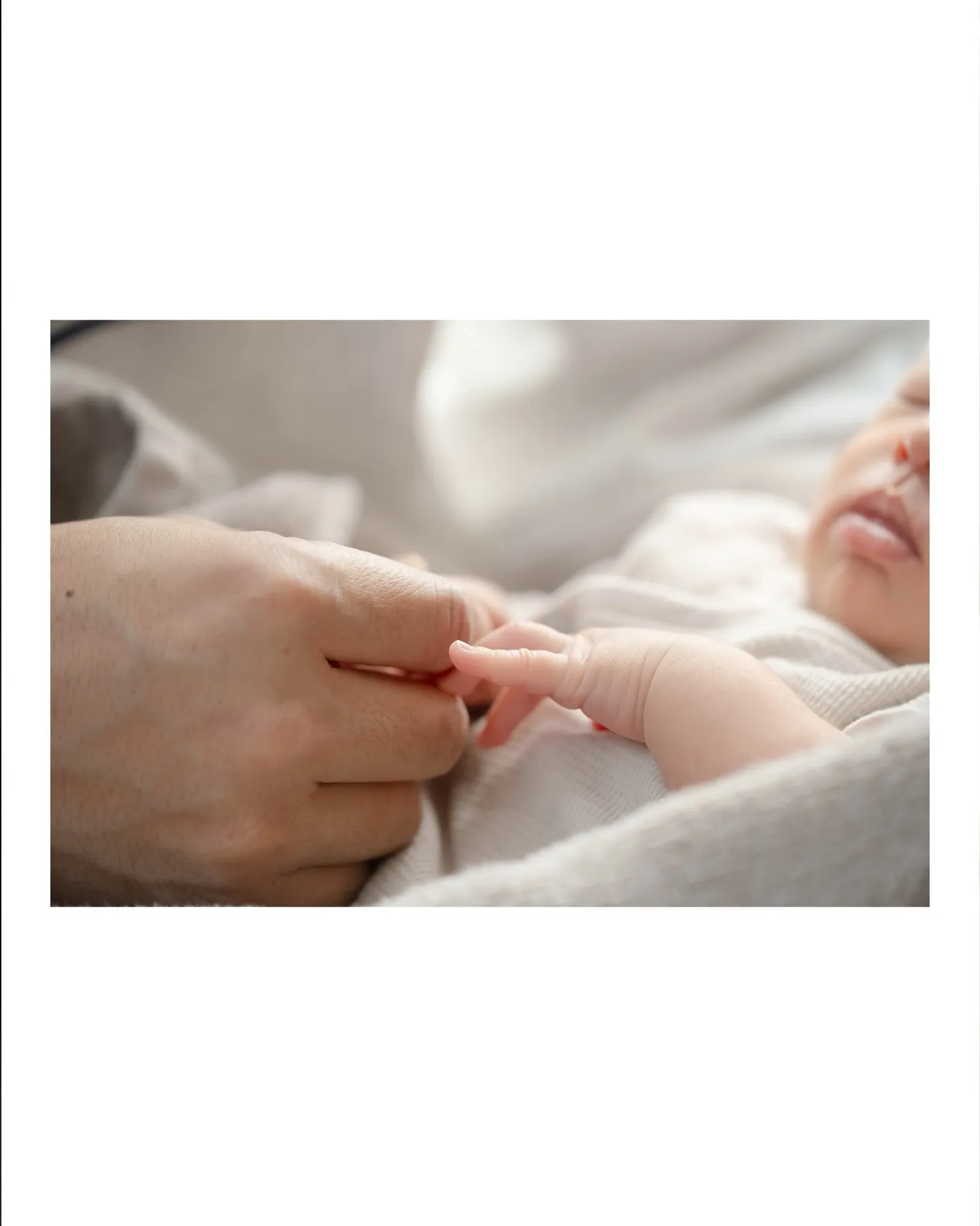 生まれてまだ数日、これからはじまる嵐のような生活の前の一瞬の...