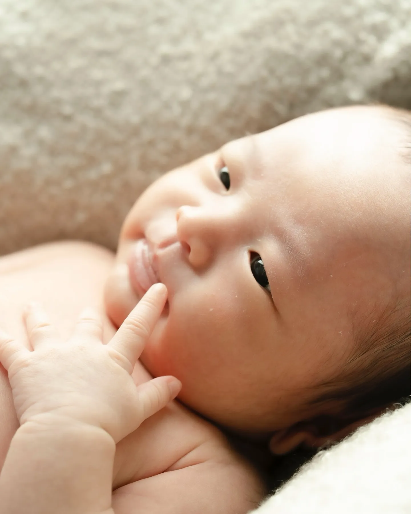 生まれてまだ数日、これからはじまる嵐のような生活の前の一瞬の...