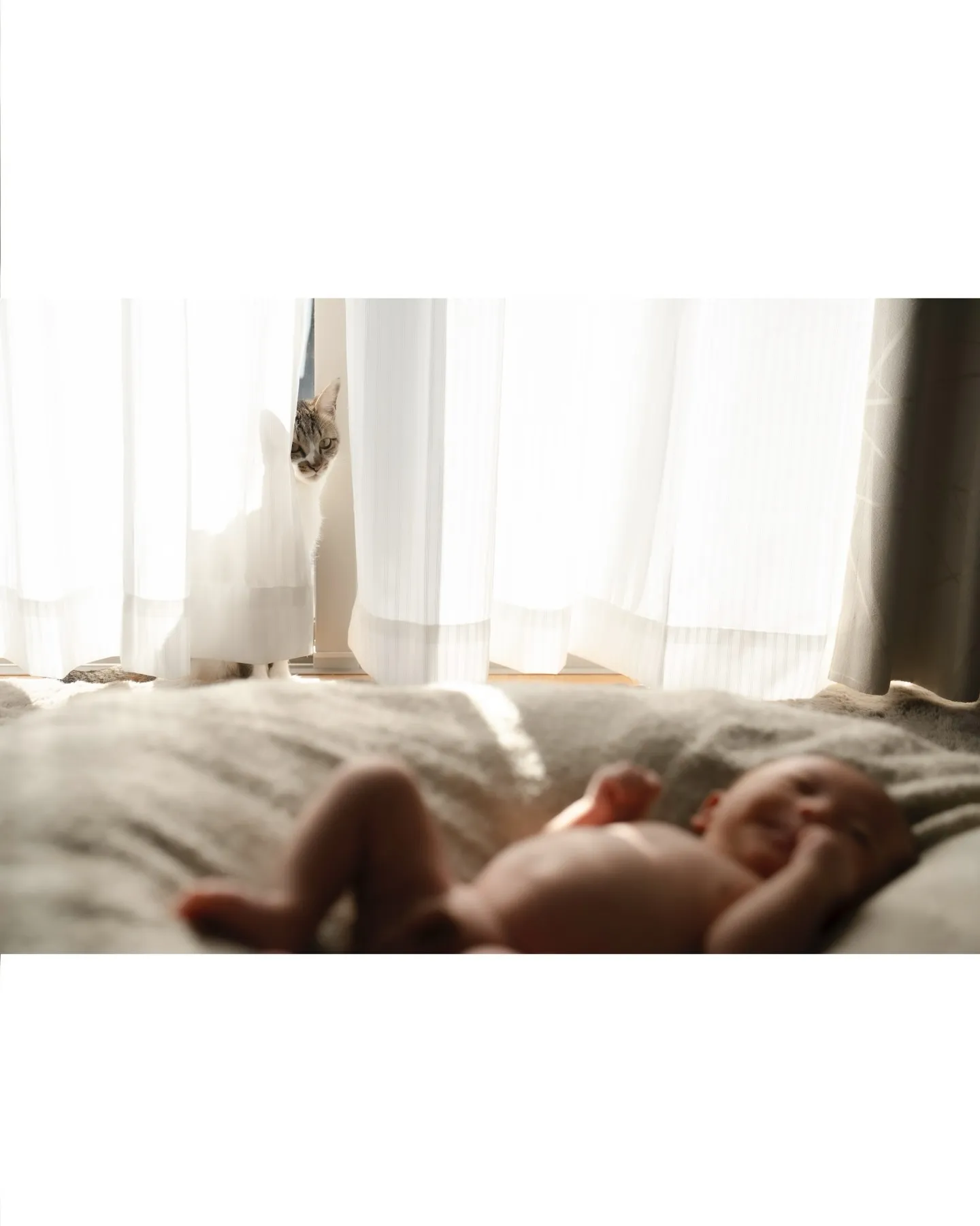 生まれてまだ数日、これからはじまる嵐のような生活の前の一瞬の...