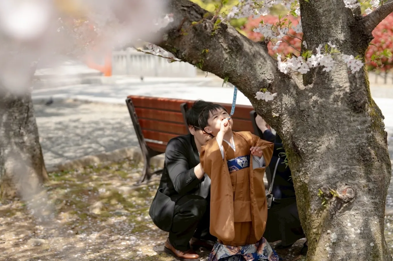 マタニティ&七五三ロケ編。