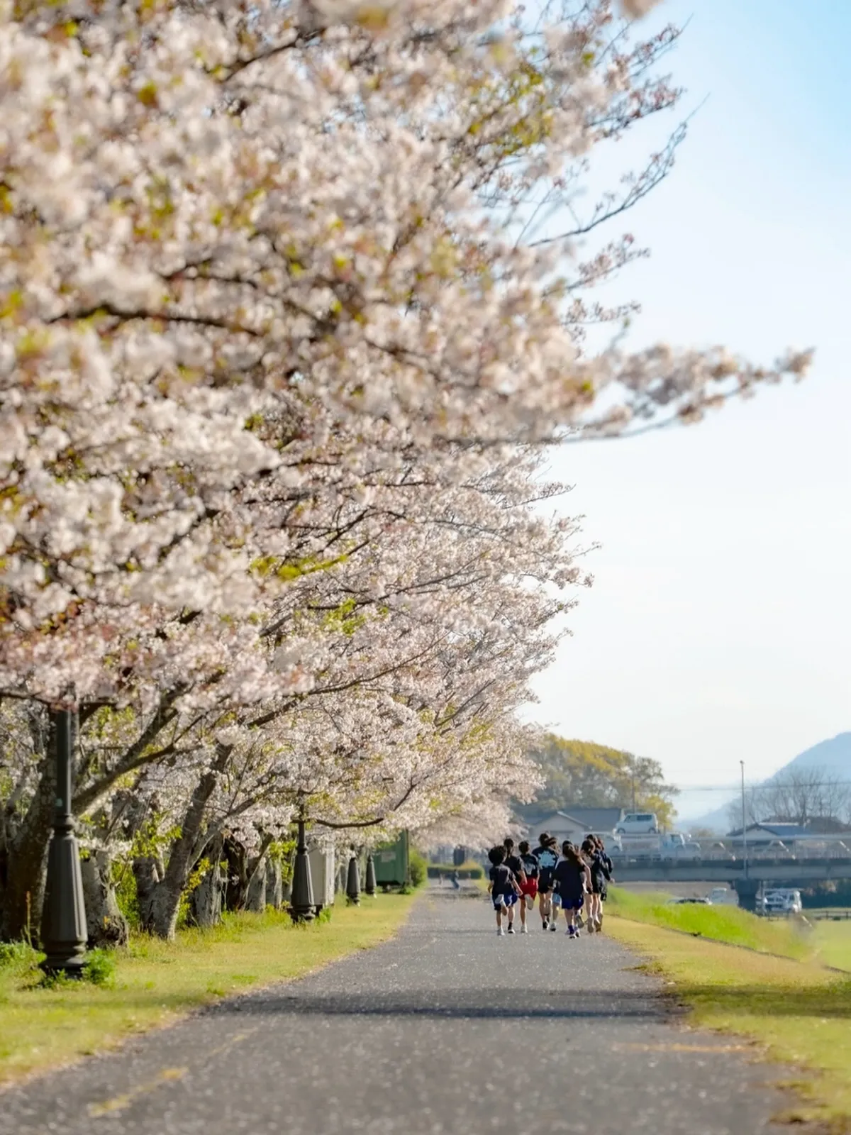 この春から小4の娘がね、バスケ始めたわけですよ。