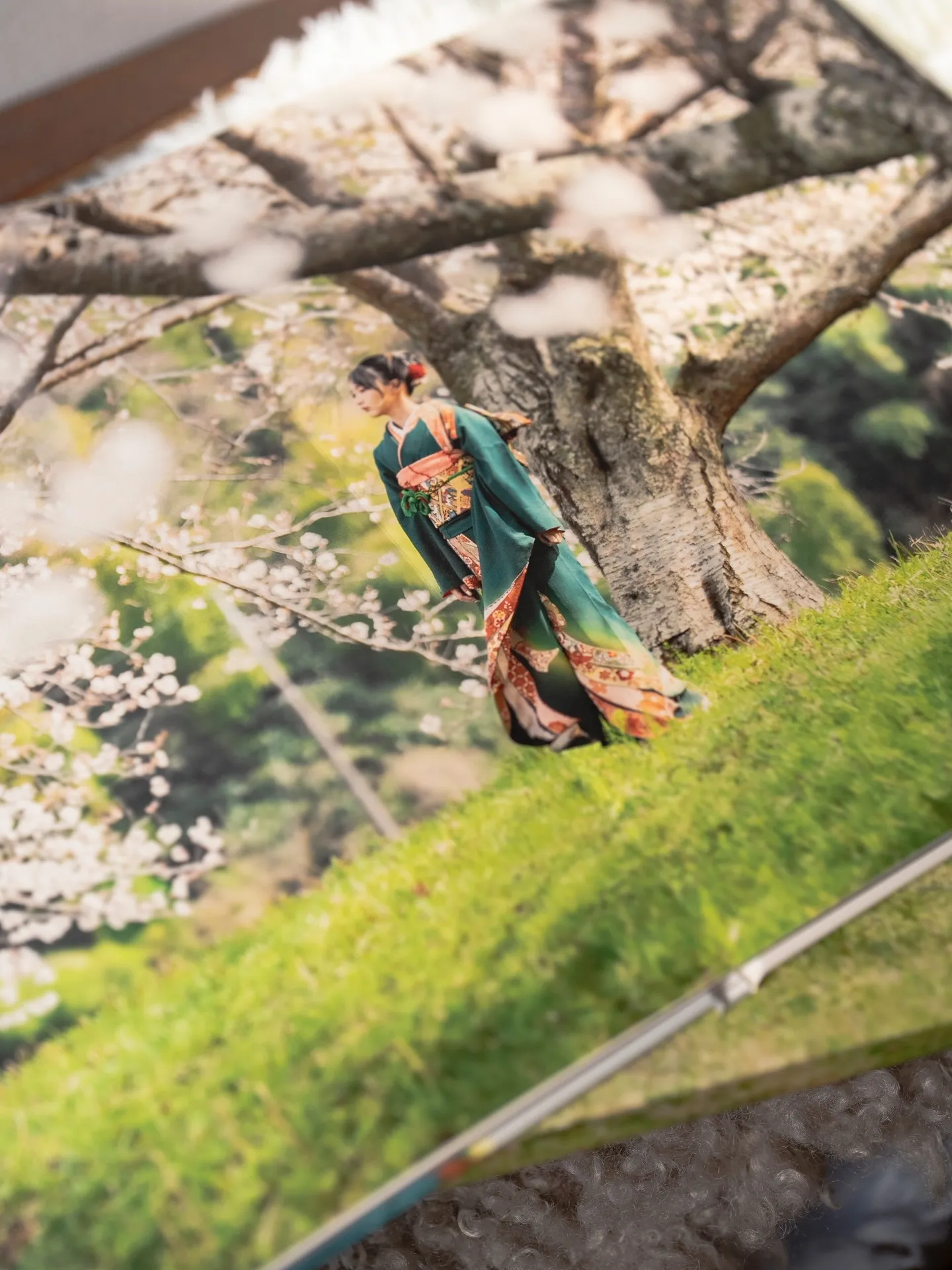 この春撮影のアルバムが続々届きだしました！