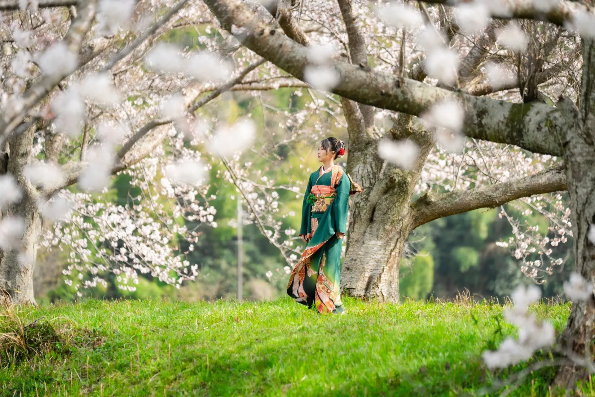 過去のスナップやポートレートを掲載